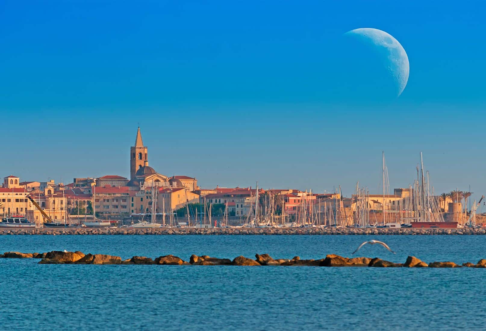 Panoramic view of Alghero old town and harbor with sea and moonlight, Sardinia. Veduta panoramica del centro storico e del porto di Alghero con il mare e la luna, Sardegna.